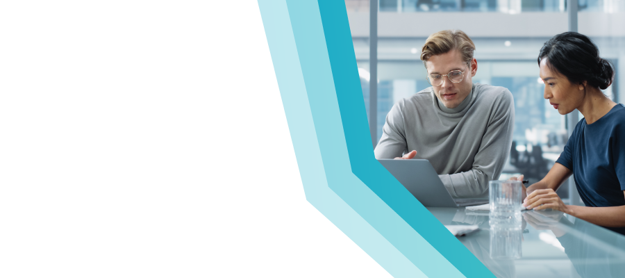 SAP S4HANA Cloud CFO Insights Report LP Header