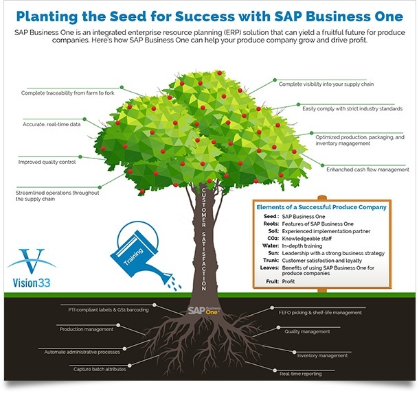 Produmex-phase7-tree-infographic-thumb-1.jpg