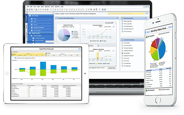 SAP Business One Dashboard on Multiple Devices